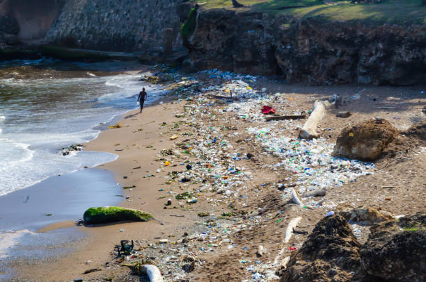 spiaggia contaminata da immondizia, plastica e acque reflue nella città di santo domingo, repubblica dominicana - cigarette wrapping foto e immagini stock