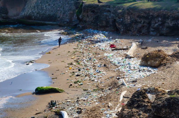 beach contaminated by garbage, plastics and wastewater in the city of santo domingo, dominican republic - cigarette wrapping imagens e fotografias de stock