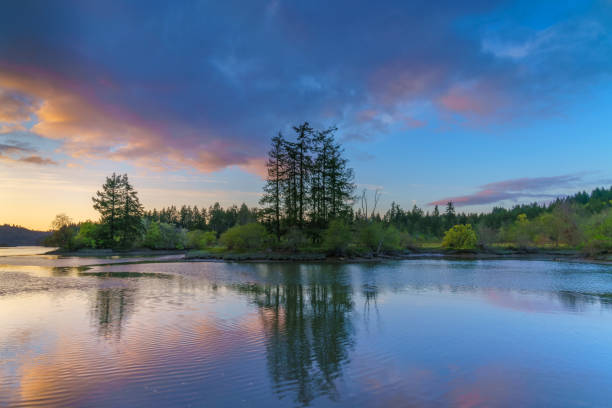 istock Pink & BLue Sunset Over Puget Sound 1145128478