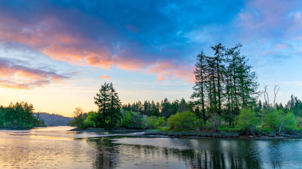 istock Pink & BLue Sunset Over Puget Sound 1145128479