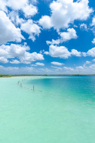 istock Kaan luum secluded natural lagoon in Tulum, Mexico 1145129443