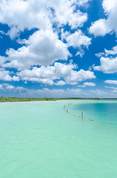 istock Kaan luum secluded natural lagoon in Tulum, Mexico 1145129661
