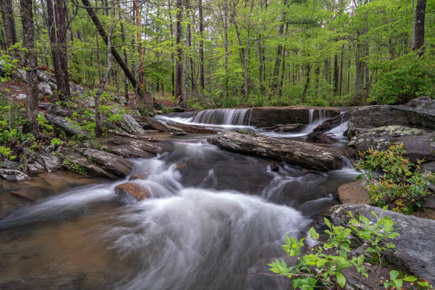 istock Cheaha Falls in Cheaha State Park 1145132833