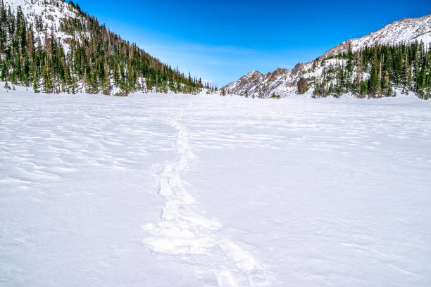 belle randonnée printanière au lac black dans le parc national des montagnes rocheuses à estes park, colorado - cold lake frozen estes park photos et images de collection