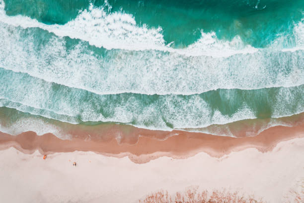 istock Aerial view surfing beach. 1145137716