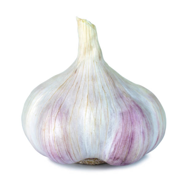 istock Fresh garlic head isolated on a white background with clipping path 1145139381