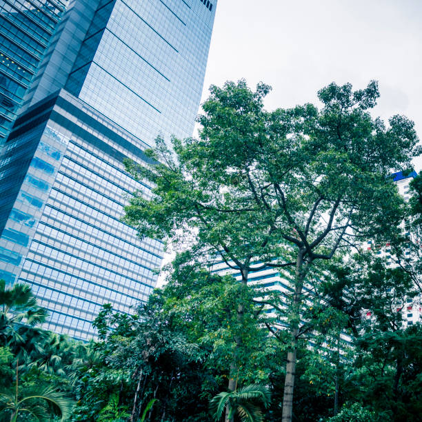 istock buildings in city,Hong Kong 1145140416