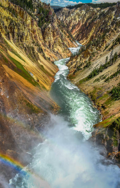 istock Grand Canyon of Yellowstone - Rainbows 1145147919