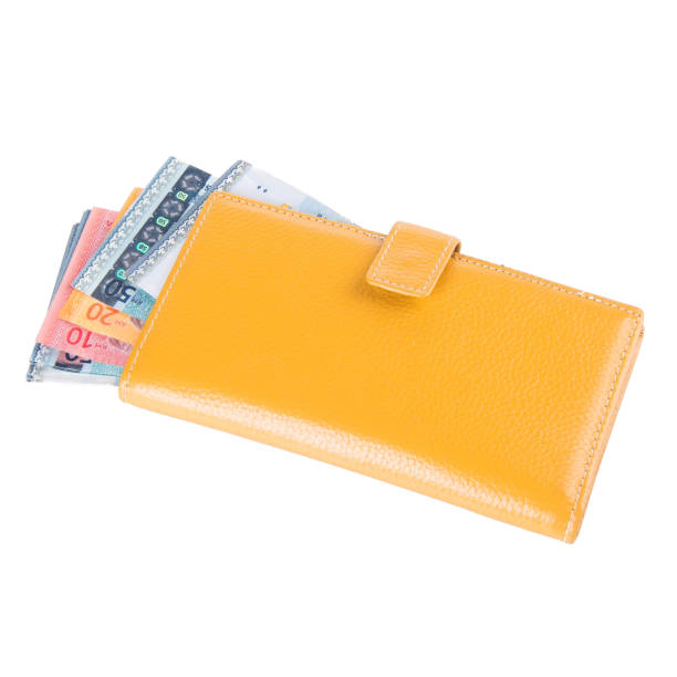 istock purse with dollars and credit cards on background 1145149151