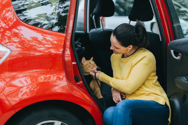 istock Woman with cat inside the car 1145151391