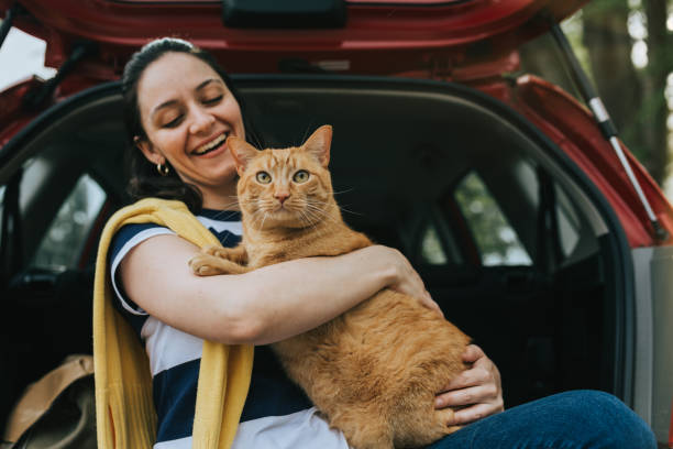 istock Woman holding cat in car 1145151943
