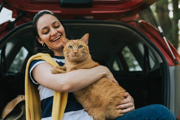 Woman holding cat in car stock photo