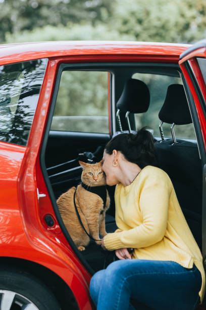 istock Woman with cat inside the car 1145152038