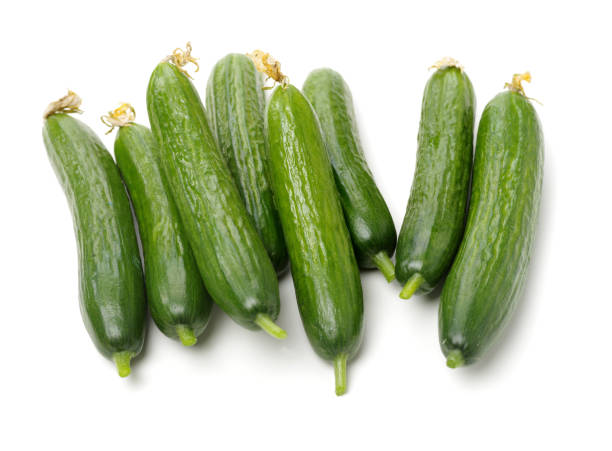 istock Lebanese Cucumber isolated on white background 1145152213