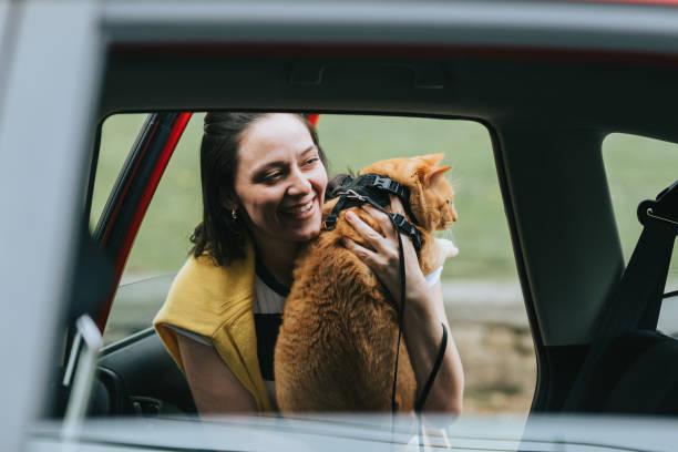 istock Woman putting cat in the car 1145152264