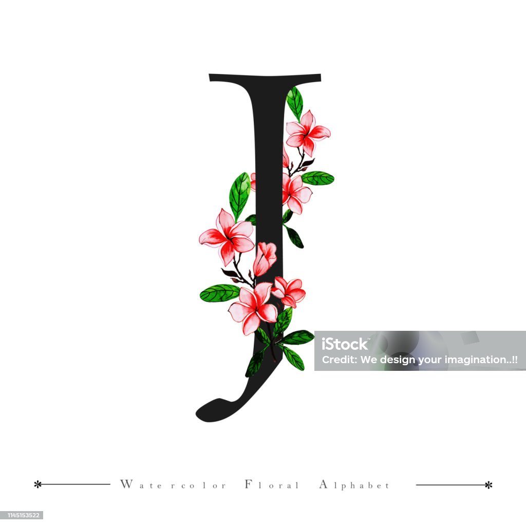 Alphabet Letter Z Watercolor Floral Background Stock Illustration - Download  Image Now - Alphabet, Beauty, Black Color - iStock