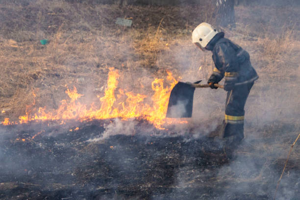 istock Raging forest spring fires. Burning dry grass, reed along lake. Grass is burning in meadow. Ecological catastrophy. Fire and smoke destroy all life. Firefighters extinguish Big fire. Lot of smok 1145157330