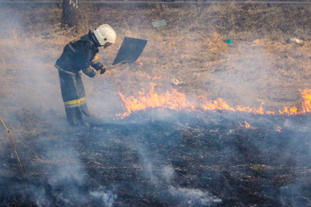 istock Raging forest spring fires. Burning dry grass, reed along lake. Grass is burning in meadow. Ecological catastrophy. Fire and smoke destroy all life. Firefighters extinguish Big fire. Lot of smok 1145157333
