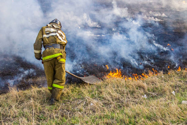 Raging forest spring fires. Burning dry grass, reed along lake. Grass is burning in meadow. Ecological catastrophy. Fire and smoke destroy all life. Firefighters extinguish Big fire. Lot of smok