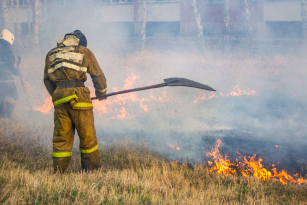 istock Raging forest spring fires. Burning dry grass, reed along lake. Grass is burning in meadow. Ecological catastrophy. Fire and smoke destroy all life. Firefighters extinguish Big fire. Lot of smok 1145157337