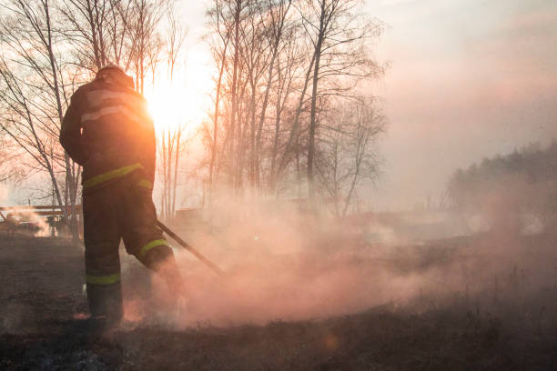 istock Raging forest spring fires. Burning dry grass, reed along lake. Grass is burning in meadow. Ecological catastrophy. Fire and smoke destroy all life. Firefighters extinguish Big fire. Lot of smok 1145157350