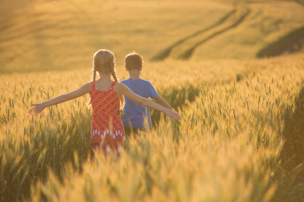 istock children walk on a yellow wheat field with their hands apart, turned their back, backlit 1145161581