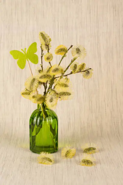 Spring still life with goat willow branches in a glass vase