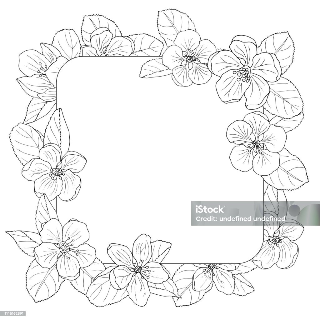 Apple blossom frame, coloring page Beautiful apple blossom frame, coloring page for adults and children Floral Pattern stock vector
