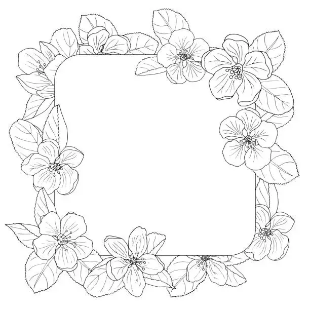 Vector illustration of Apple blossom frame, coloring page