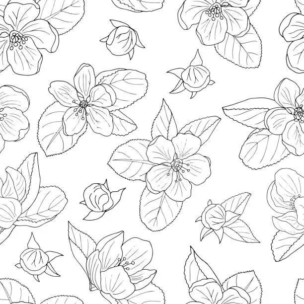 Vector illustration of Seamless pattern of hand-drawn apple blossom, coloring page