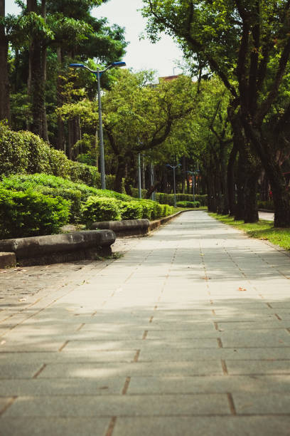 istock Trail in the park. Natural scenery in Asia. 1145164271