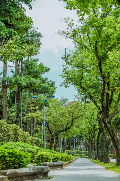 istock Trail in the park. Natural scenery in Asia. 1145164287