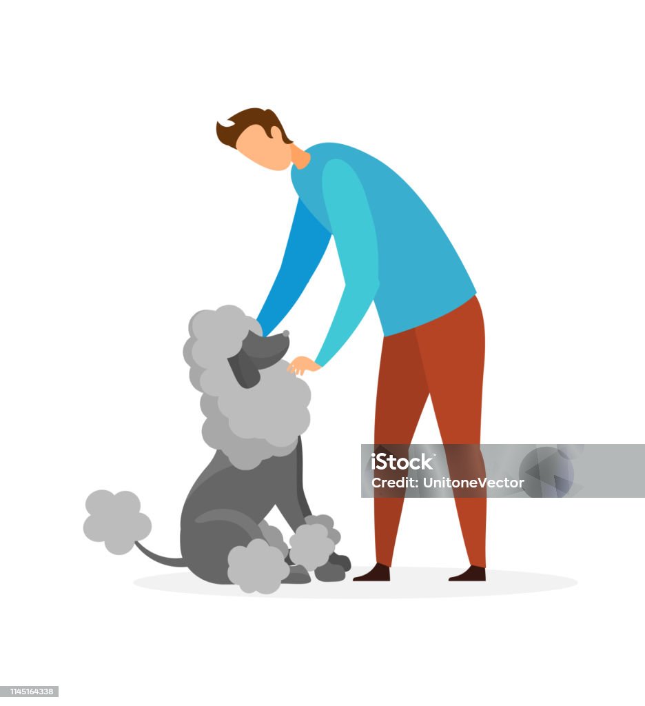Guy with French Poodle Flat Vector Illustration Guy with French Poodle Flat Vector Illustration. Pet Lover, Owner in Casual Clothes Cartoon Character. Professional Dog Walking, Training Service. Domestic Animals Show. Veterinary Clinic Poodle stock vector