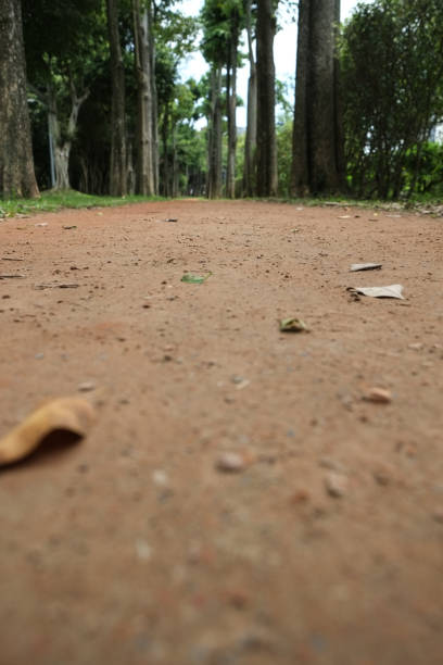 istock Trail in the park. Natural scenery in Asia. 1145164373