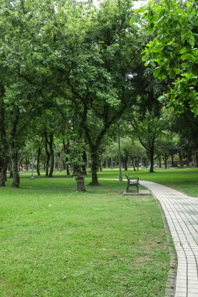 istock Trail in the park. Natural scenery in Asia. 1145164403