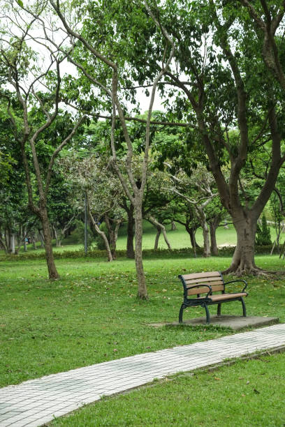 istock Trail in the park. Natural scenery in Asia. 1145164449