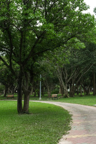 istock Trail in the park. Natural scenery in Asia. 1145164562