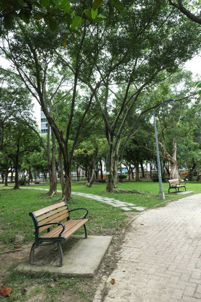 istock Trail in the park. Natural scenery in Asia. 1145164632