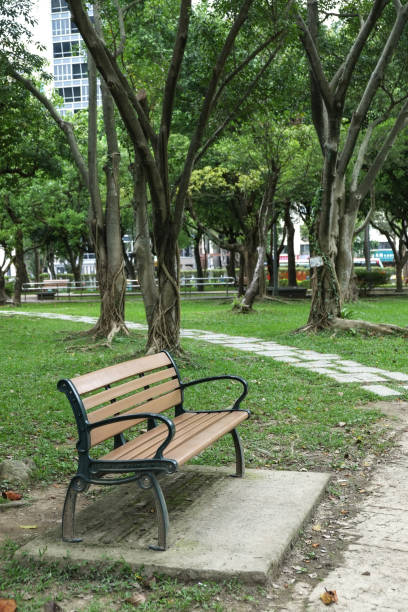 istock Trail in the park. Natural scenery in Asia. 1145165194