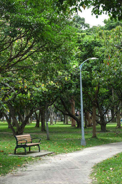 istock Trail in the park. Natural scenery in Asia. 1145165198