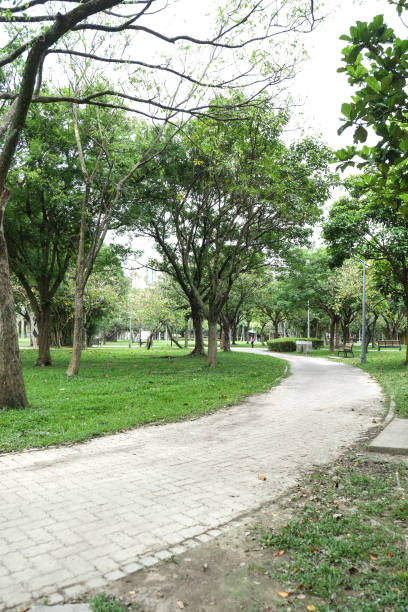 istock Trail in the park. Natural scenery in Asia. 1145165210