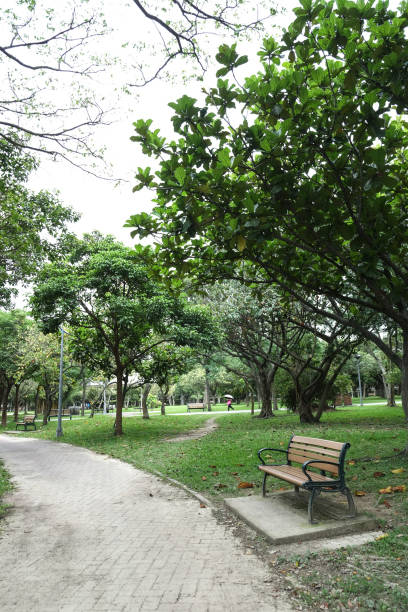 istock Trail in the park. Natural scenery in Asia. 1145165406