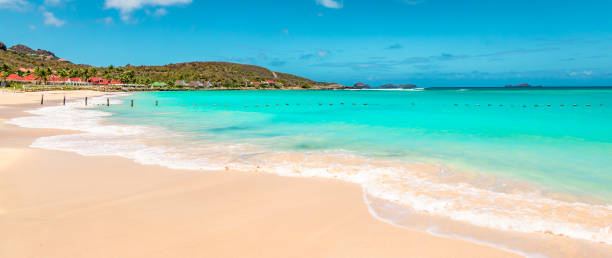 Panoramic view of beautiful white sandy beach in St Barts ( Saint Barthelemy), Caribbean Panoramic view of beautiful idyllic beach with white sand, turquoise sea and blue sky. Luxury summer vacation destination in Saint Barthelemy, the Caribbean. st jean saint barthelemy stock pictures, royalty-free photos & images