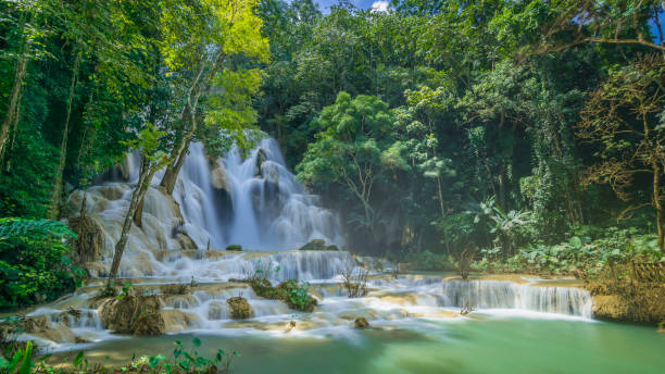 istock Kuang Si Waterfall Luang Prabang Loas 1145168095