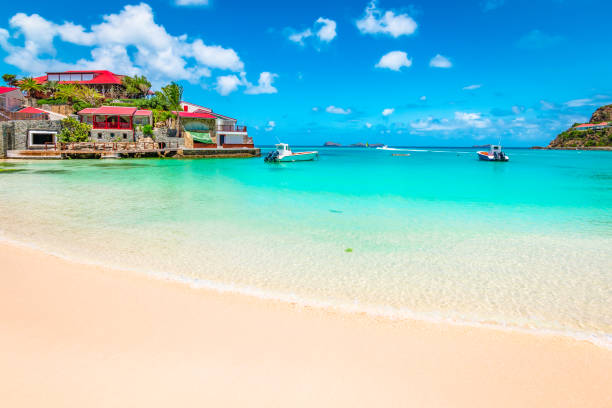 Beach in St Barts, Caribbean Sea. Beautiful idyllic beach with white sand, turquoise sea and blue sky. Luxury summer vacation destination in Saint Barthelemy, the Caribbean. st jean saint barthelemy stock pictures, royalty-free photos & images