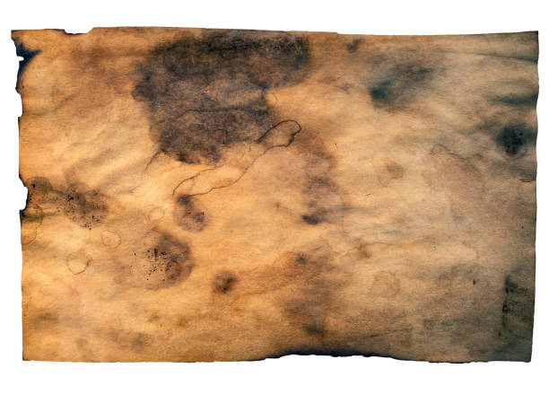 istock Grunge paper, vintage background 1145170810
