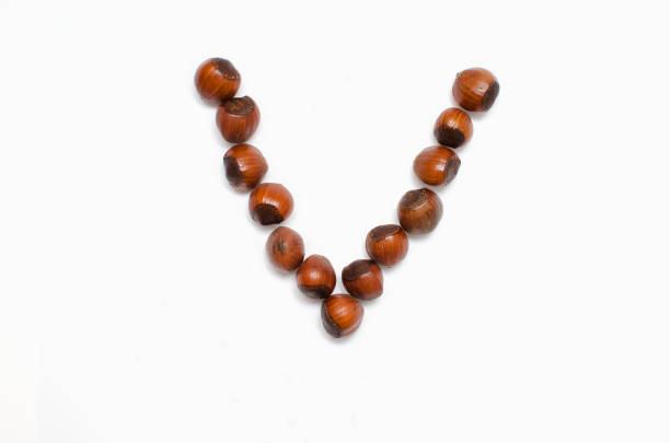 istock the check mark is lined with hazelnut on white background, with a place for the text 1145172016