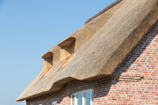 techos - thatched roof fotografías e imágenes de stock