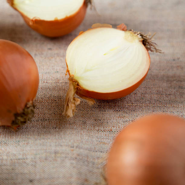 istock Unpeeled raw yellow onions on cloth, side view. Close-up. 1145173633