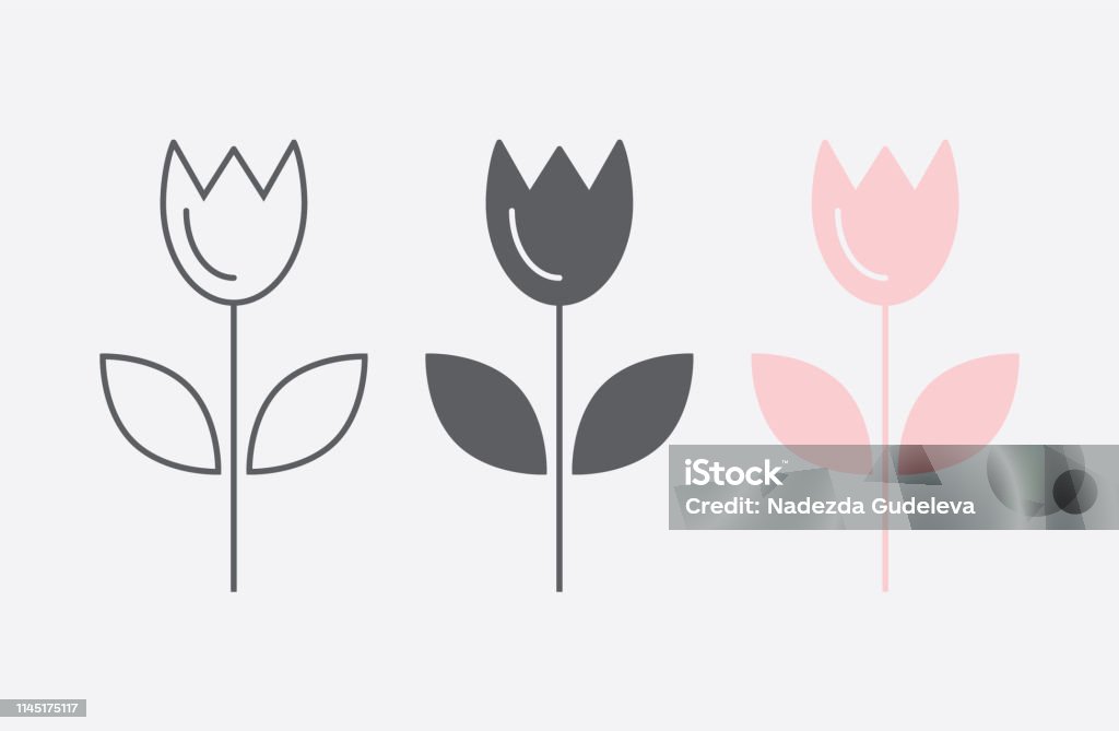 Tulip icons set in flat and line style. Tulip icons set in flat and line style. Plant symbol illustration in black and pink color isolated on white background. Monochrome floral template. Tulip stock vector